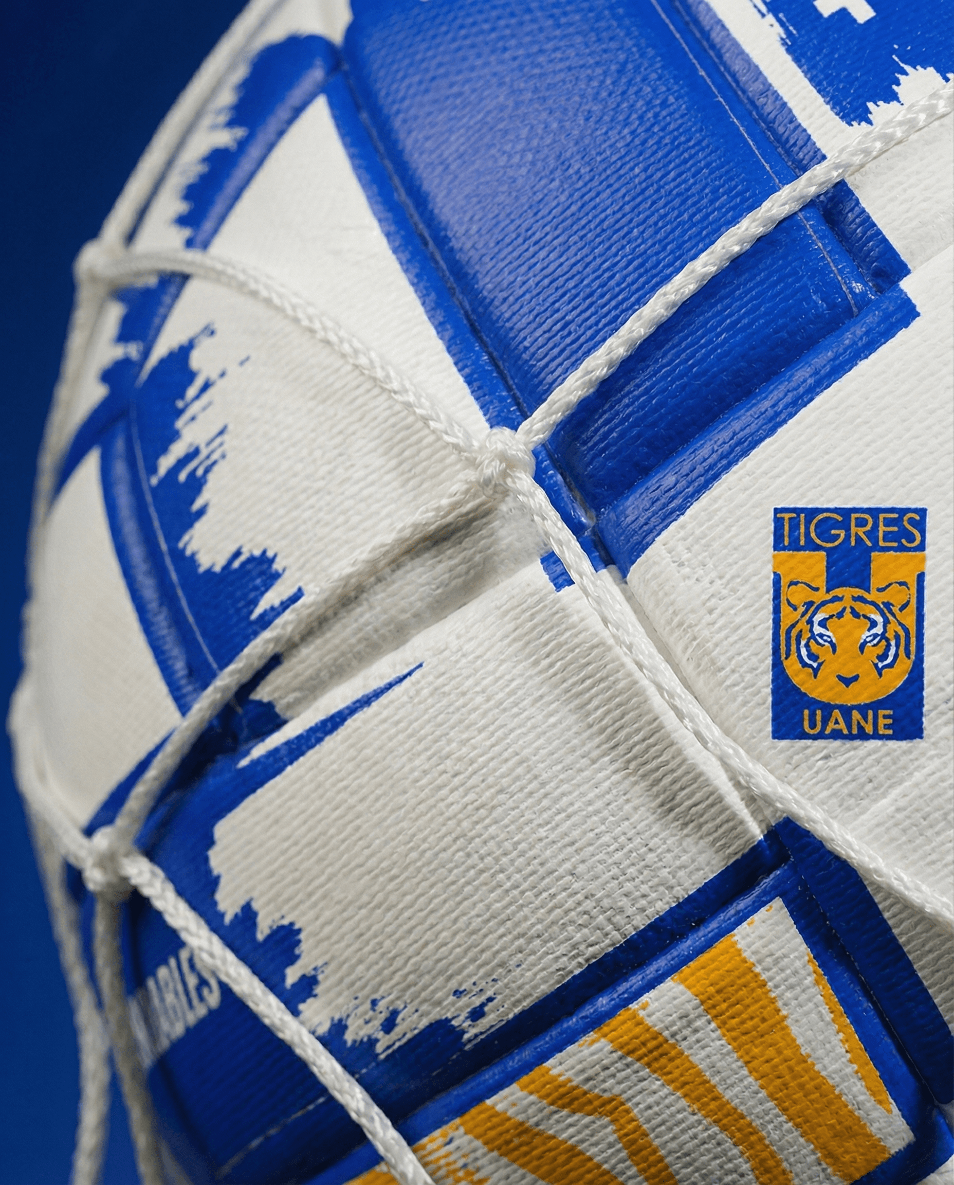 Escuela Tigres Oficial