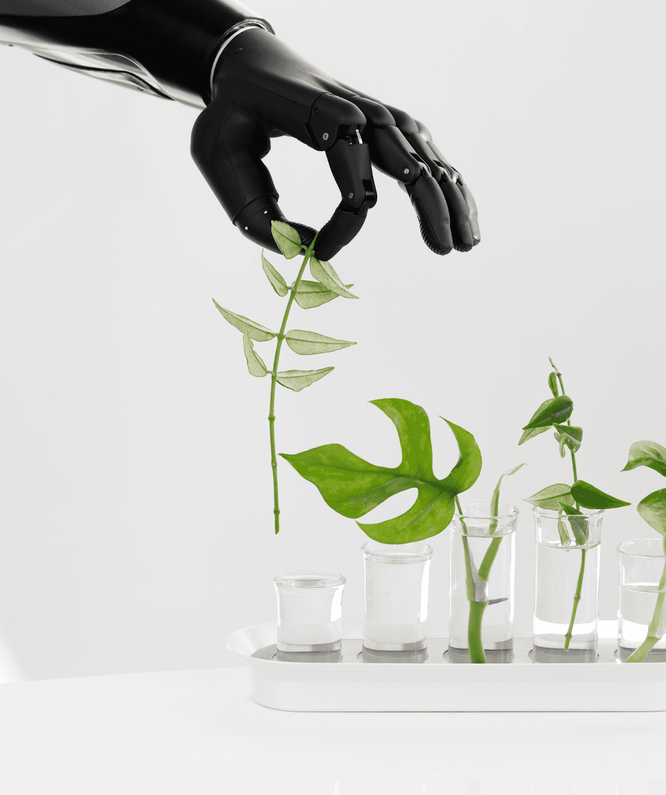 Cost-Efficient Upper-Limb Prosthetic Care with the Zeus Hand Ecosystem 