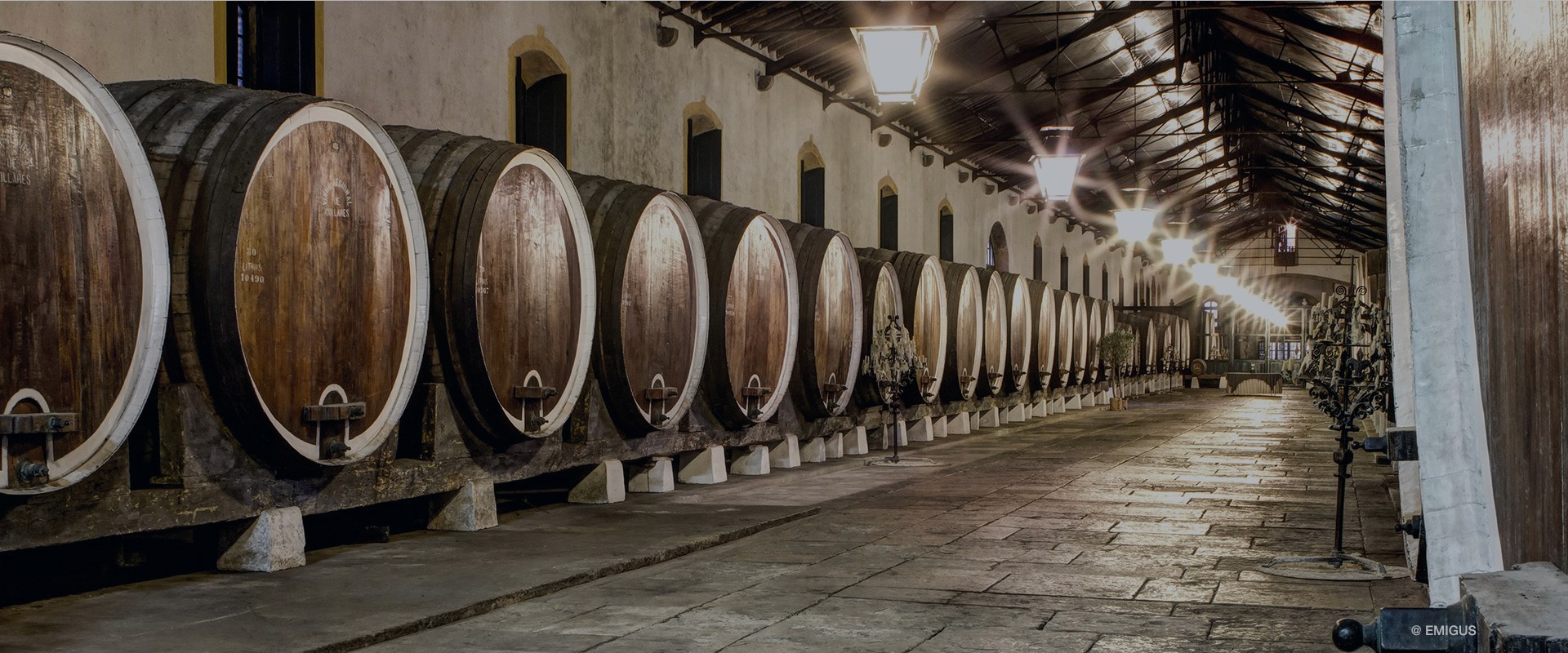 sintra wine
