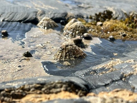 blue sky and white clouds over the sea