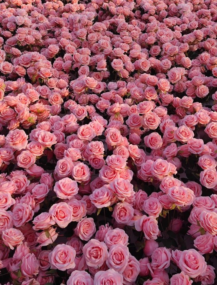 Rose Festival in Bulgaria