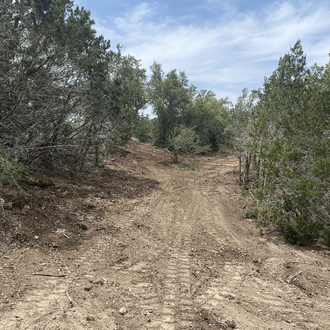 Concetrated triathlete grayscale