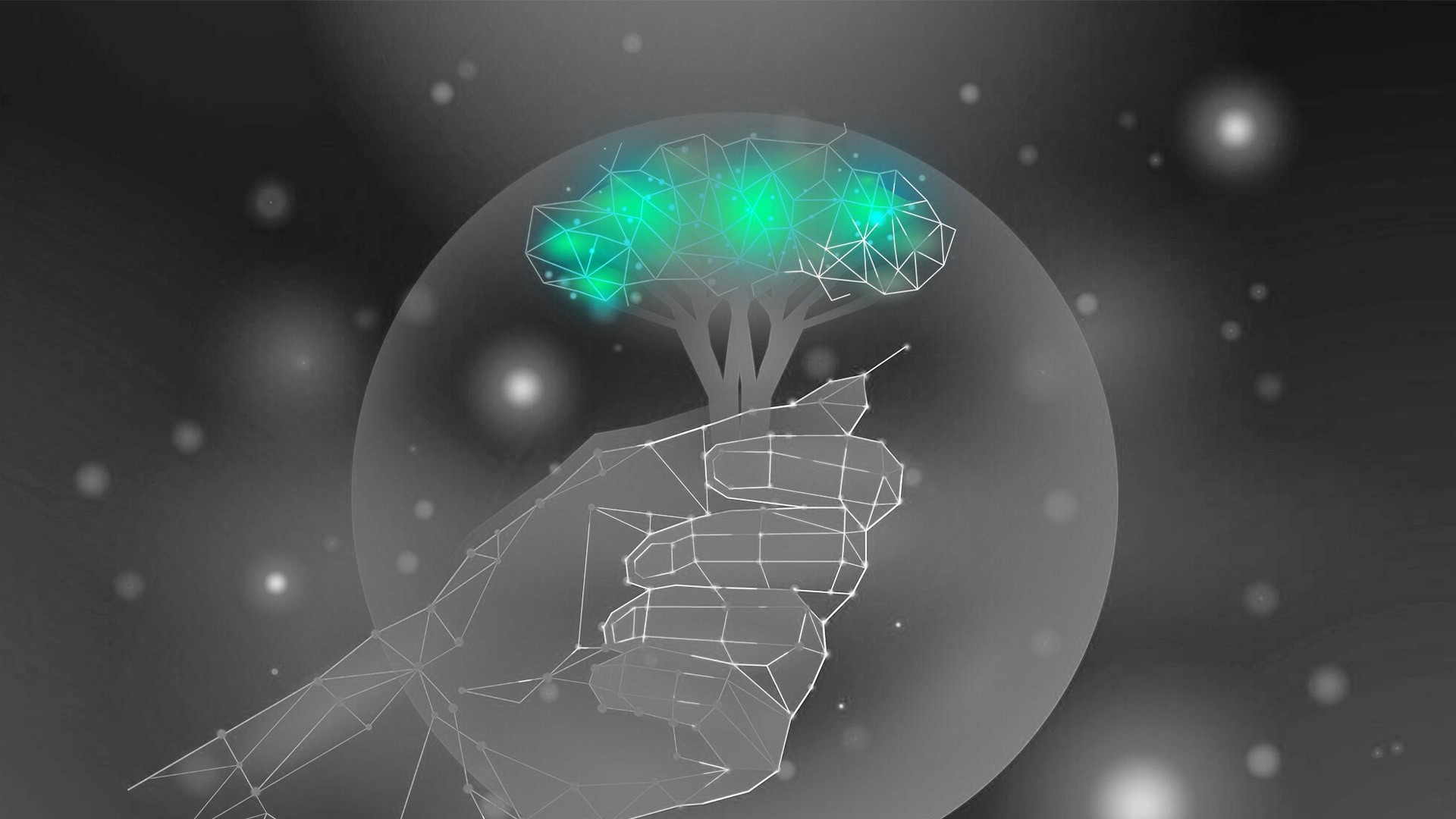 The image featured at the top of the about us page #1