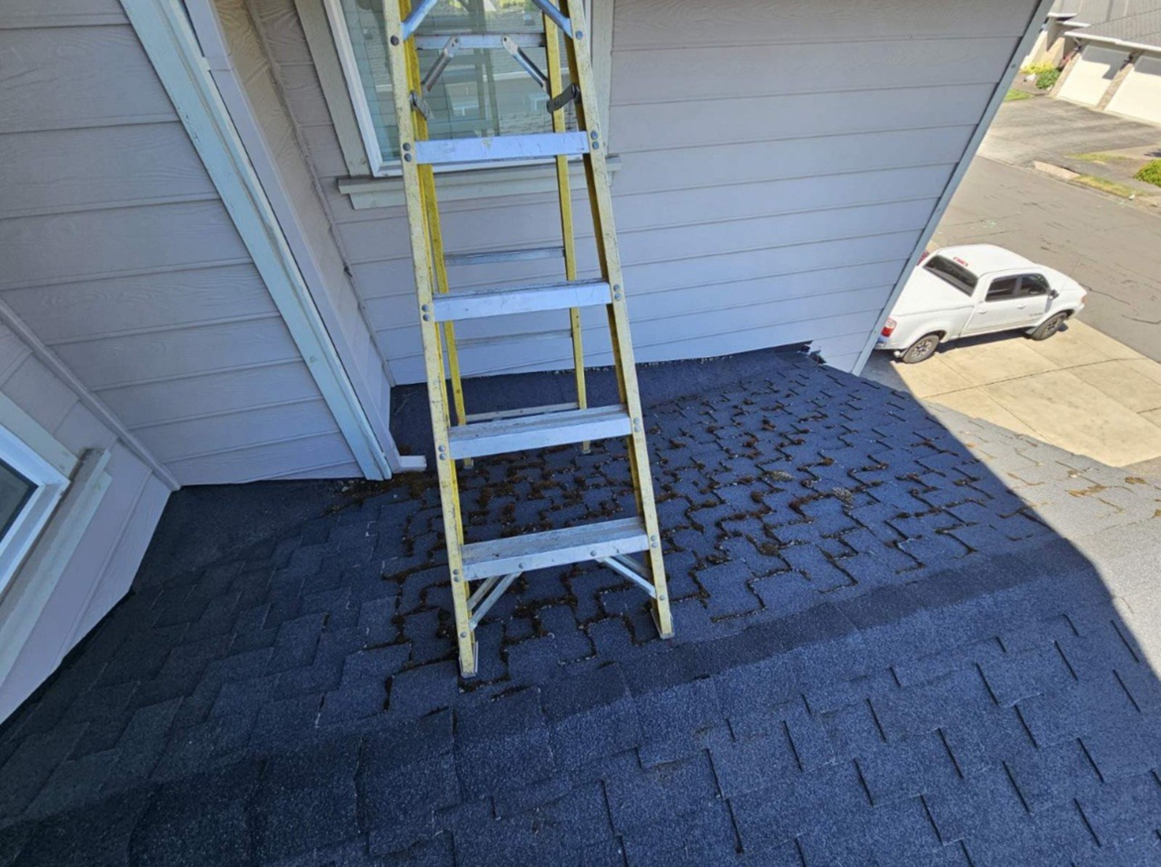 Roof Cleaning