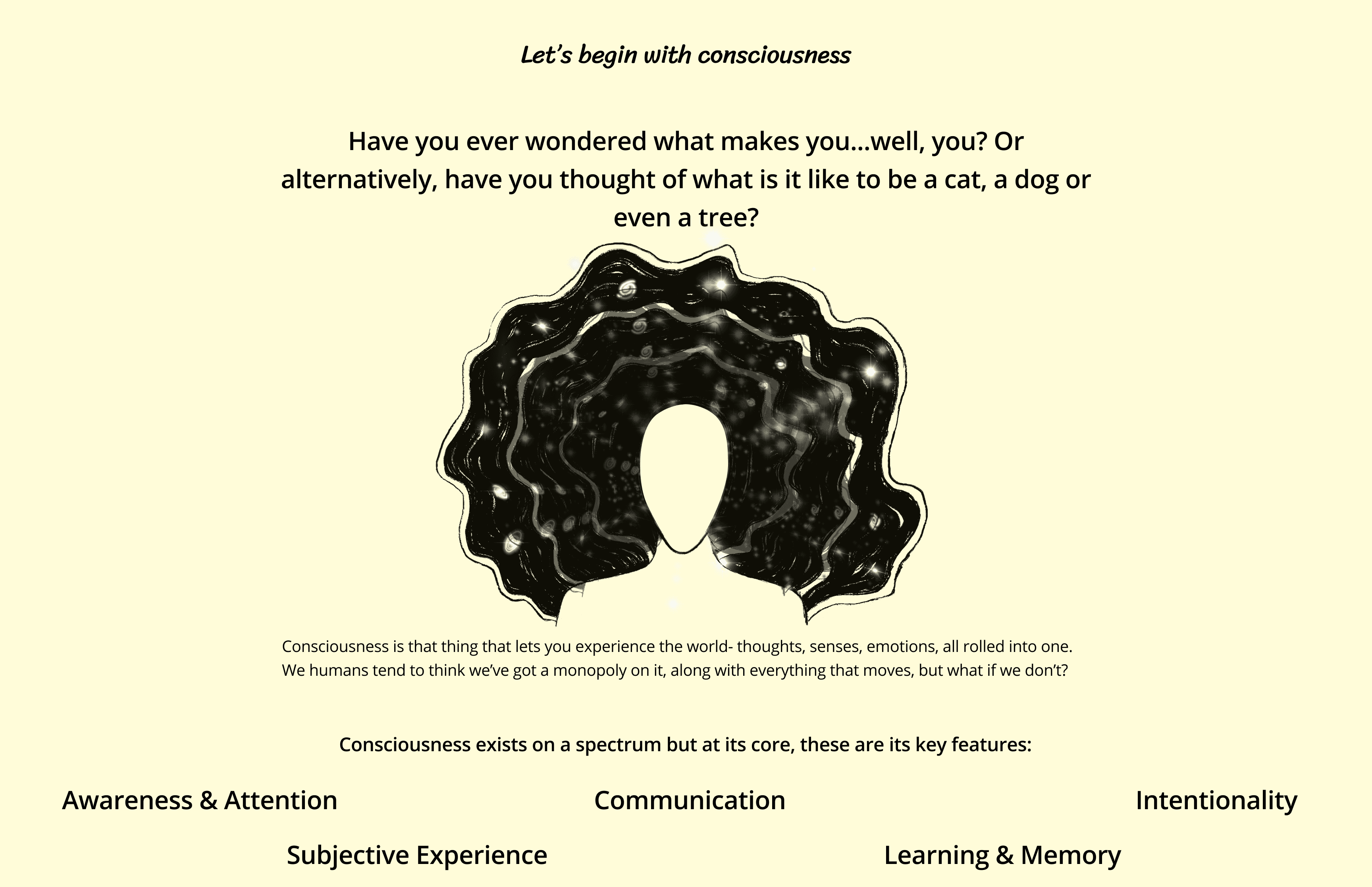 A mockup for an app screen