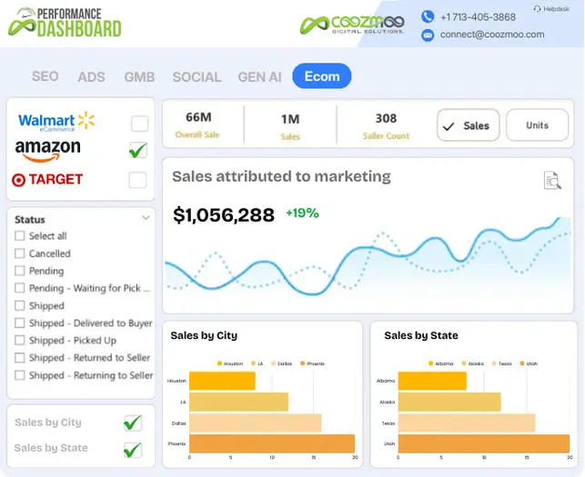 Coozmoo Performance Dashboard for Ecommerce Services