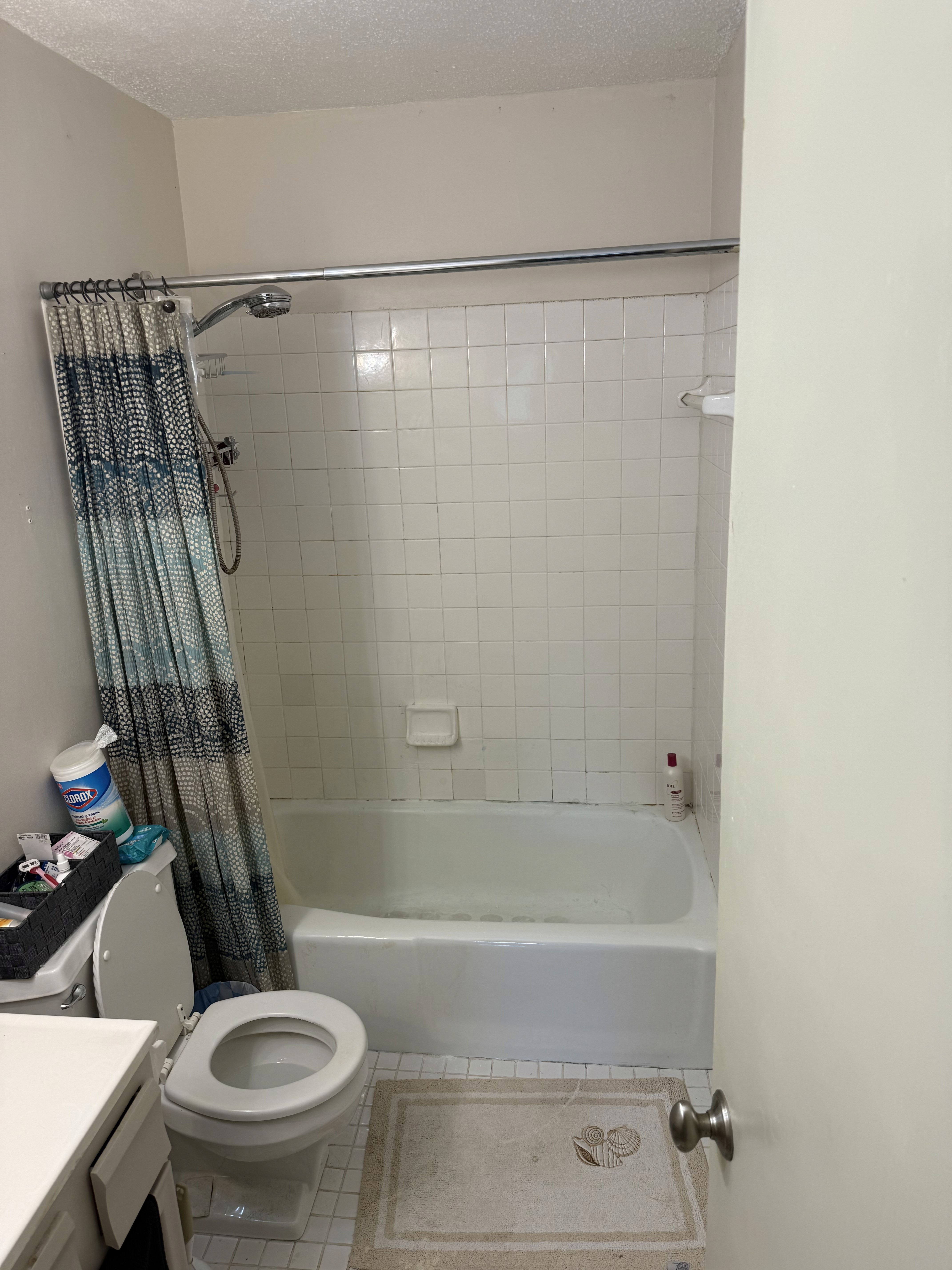 Bathroom before
