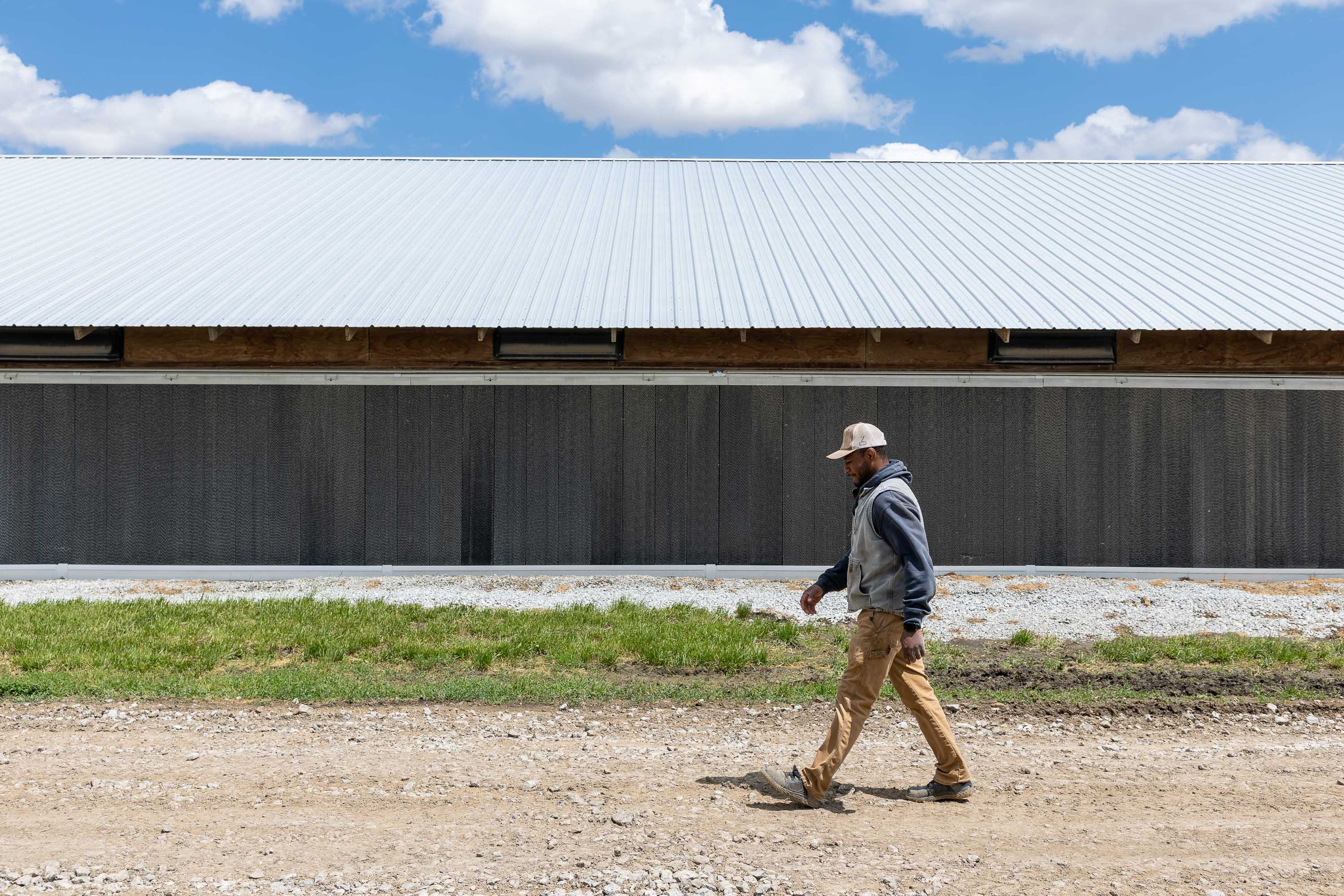 chicken farmer photography