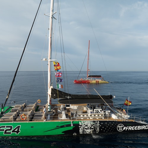 NEW CATAMARANS