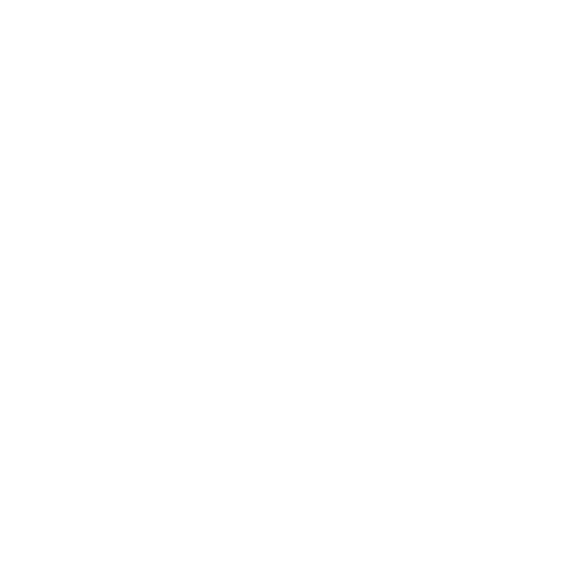 The Visionary Group