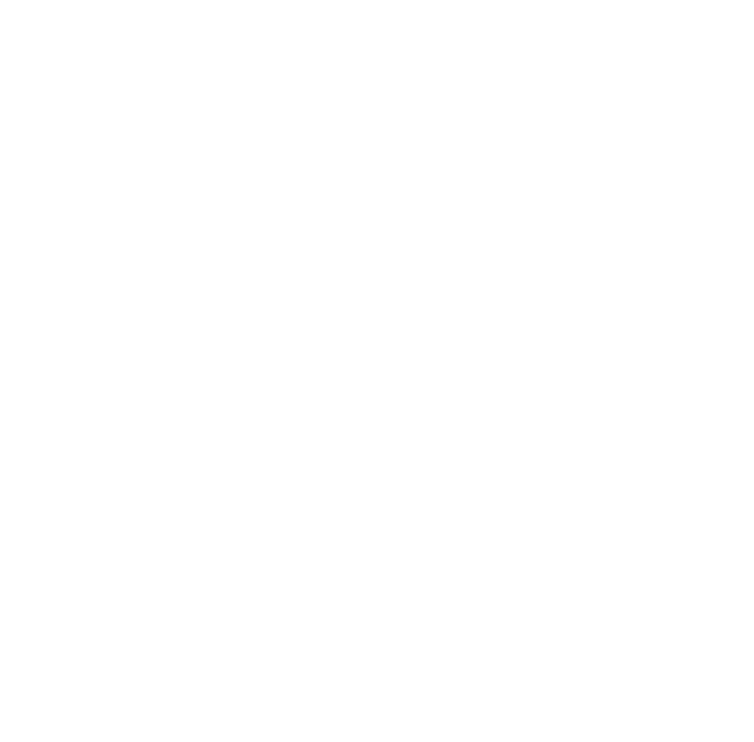 Logo White