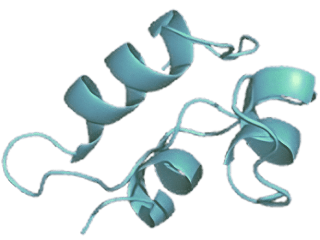 Image of a Protein