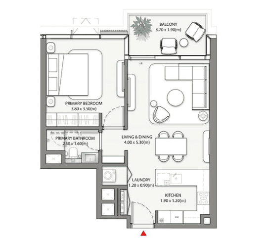 1 Bedroom Apartment
