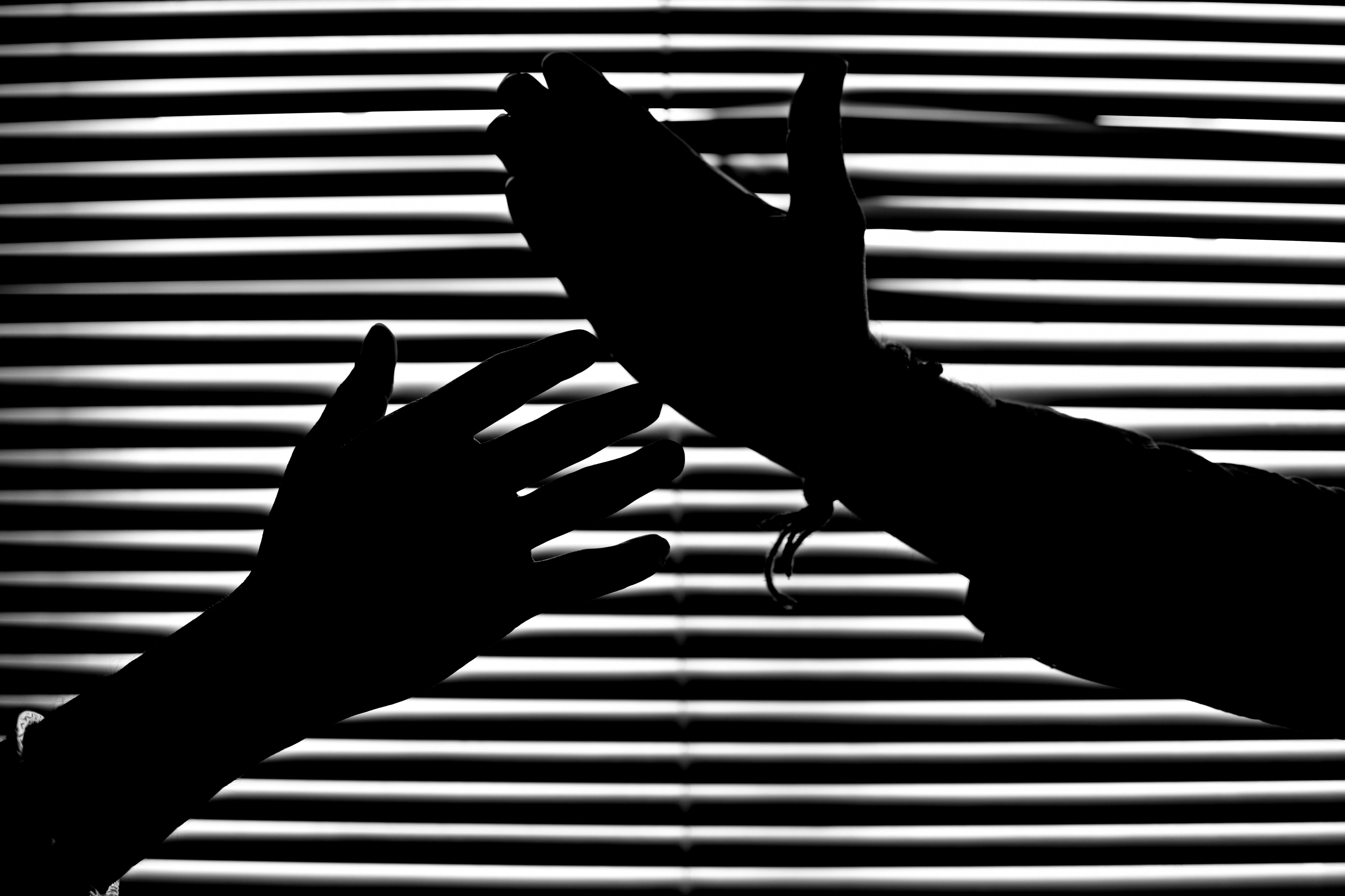 Pulse & Pause Image #1