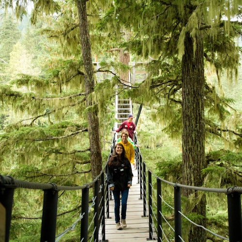 樹徑冒險課程