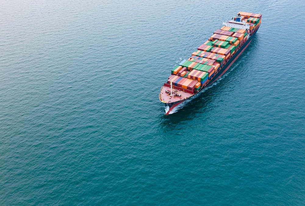 A woman in a straw hat stands in the grass