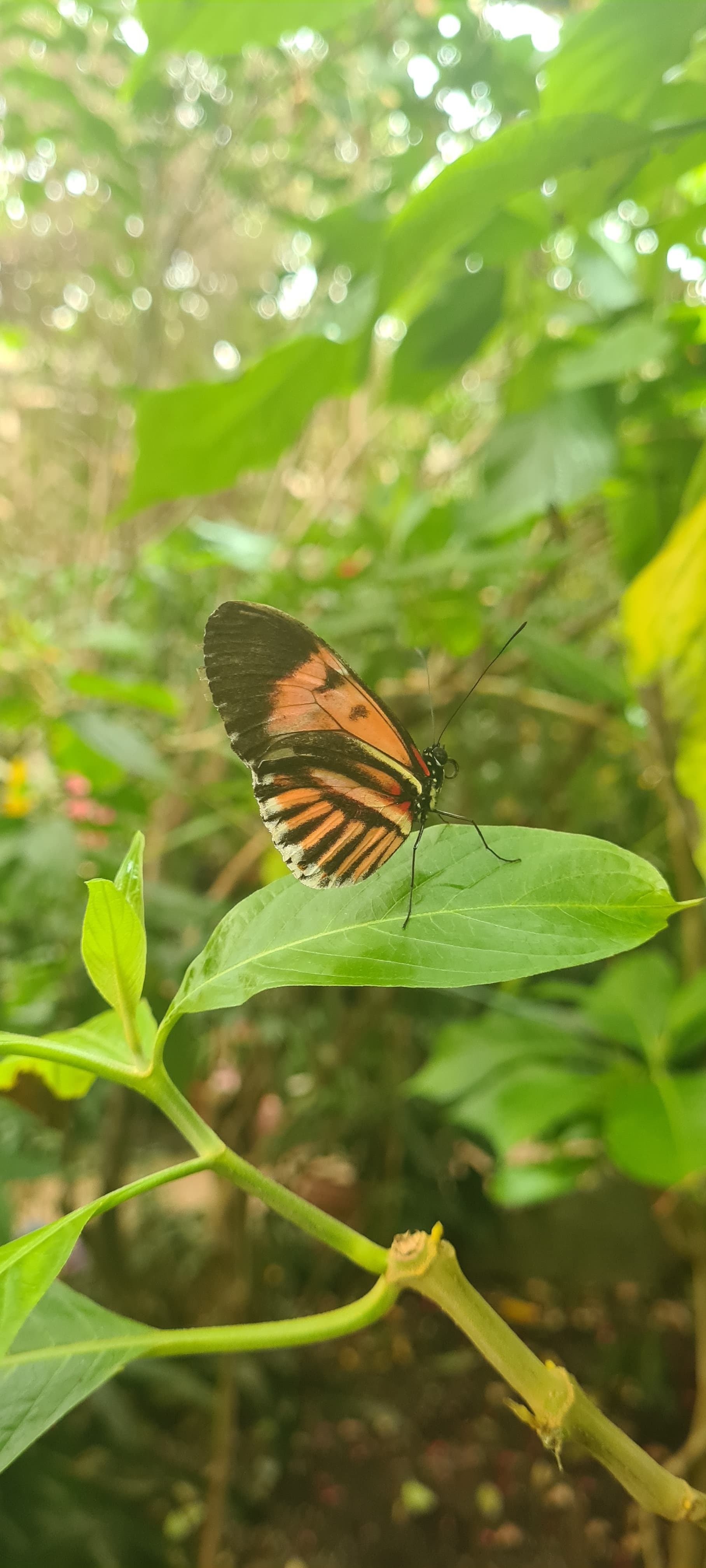 people in a large building with Tate Modern in the background