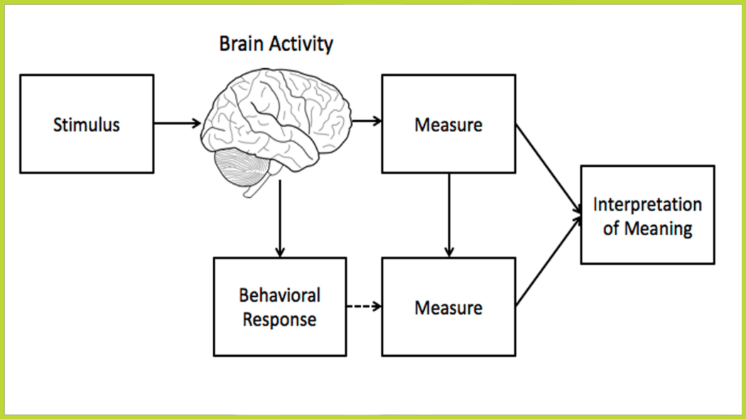 Source: Block Diagram — How Neuromarketing Works by Nick Lee