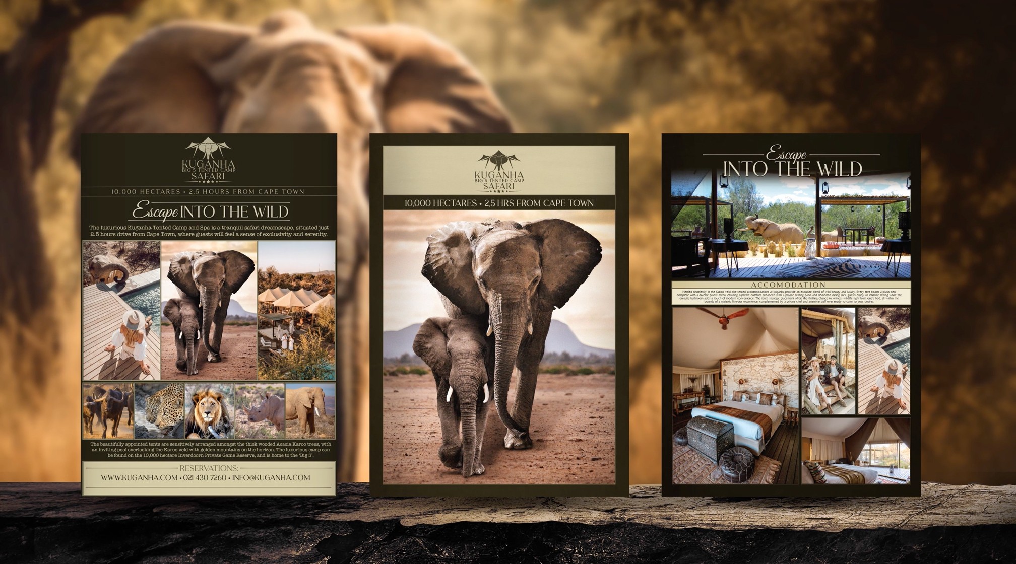 Dashboard Sidebar Close Up