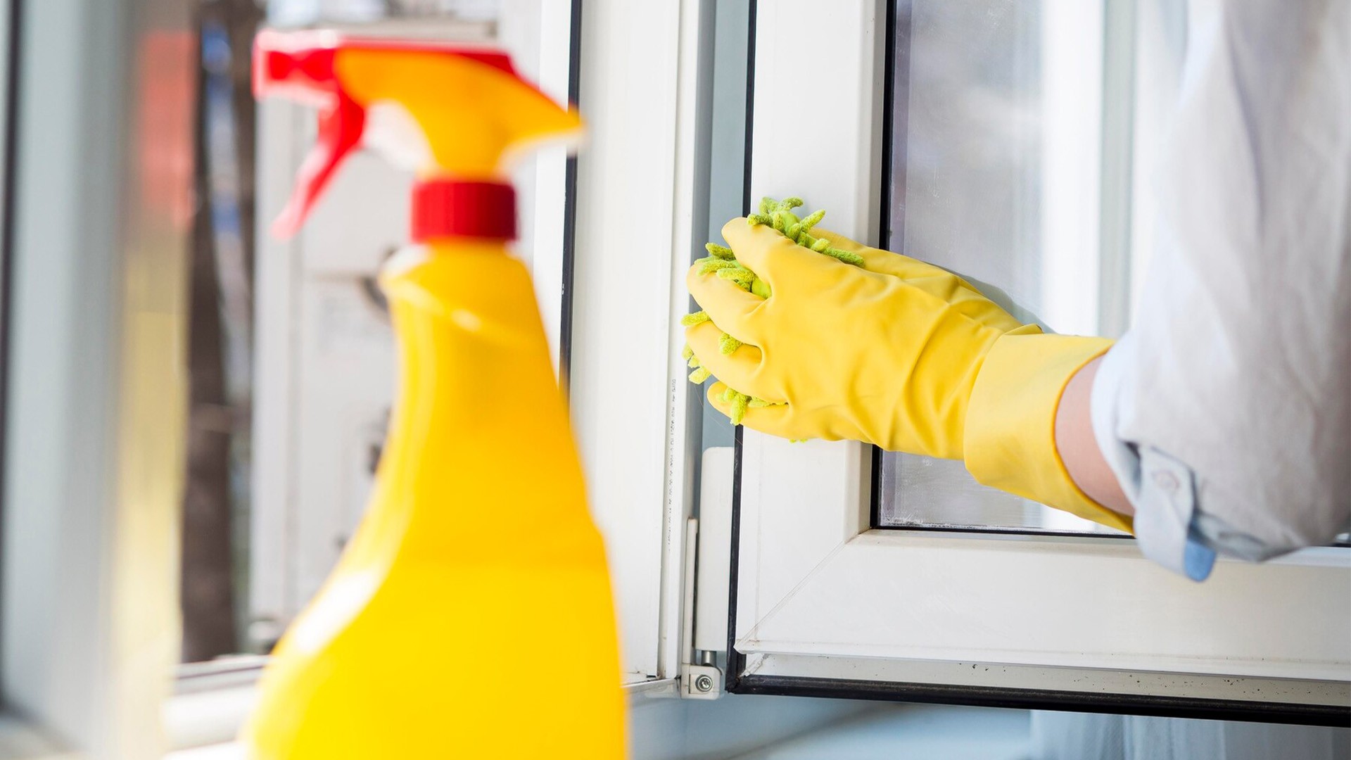 Nettoyage vitre Morez (39)