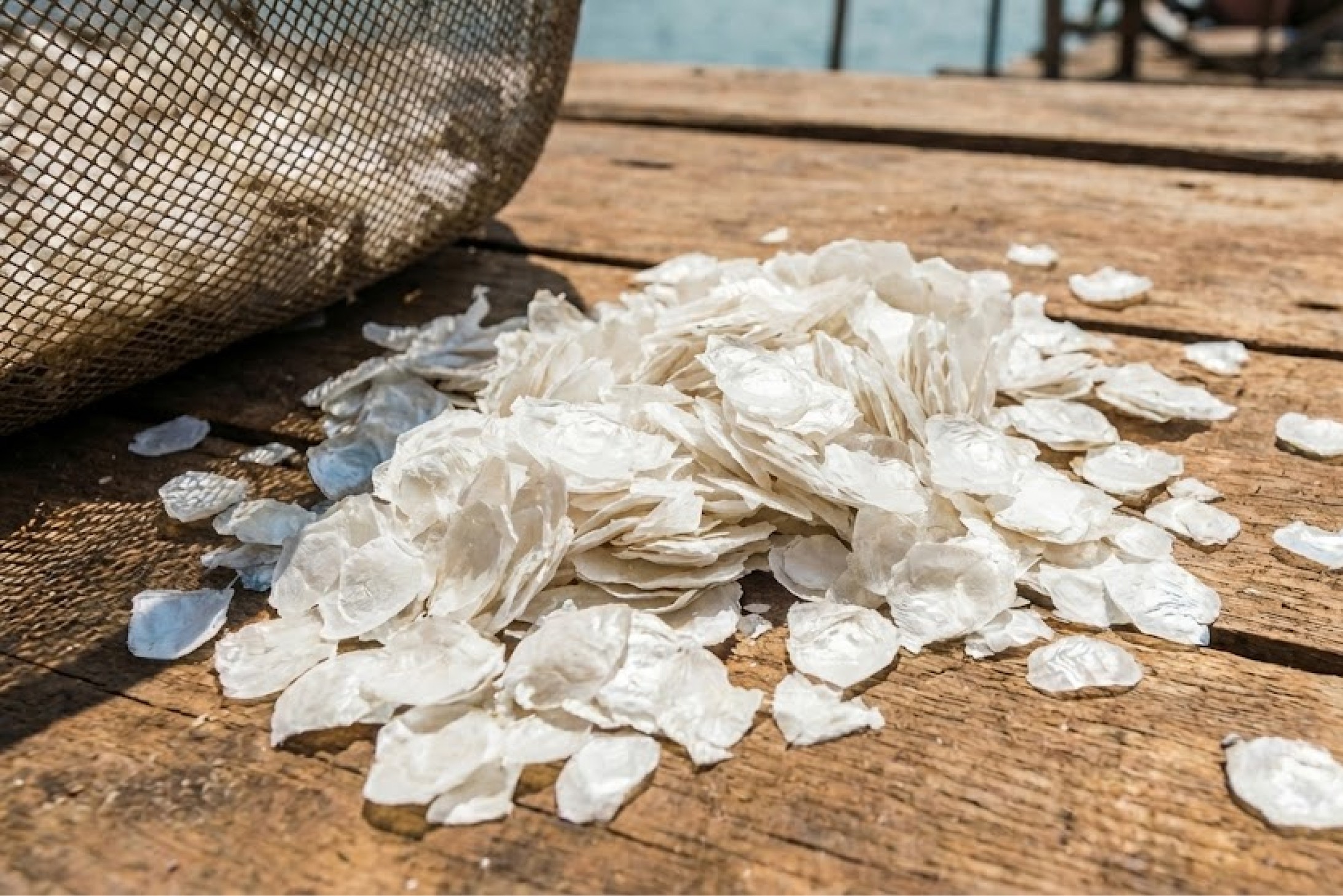 Hydroxyapatite extraction from dry fish scales