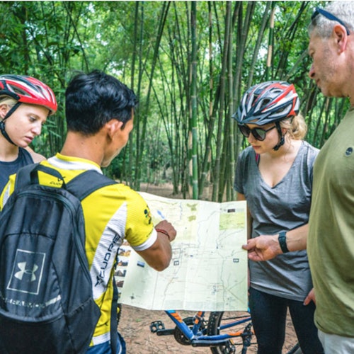 A group of four people in cycling gear examining a map in a bamboo forest, with bikes visible in the background.