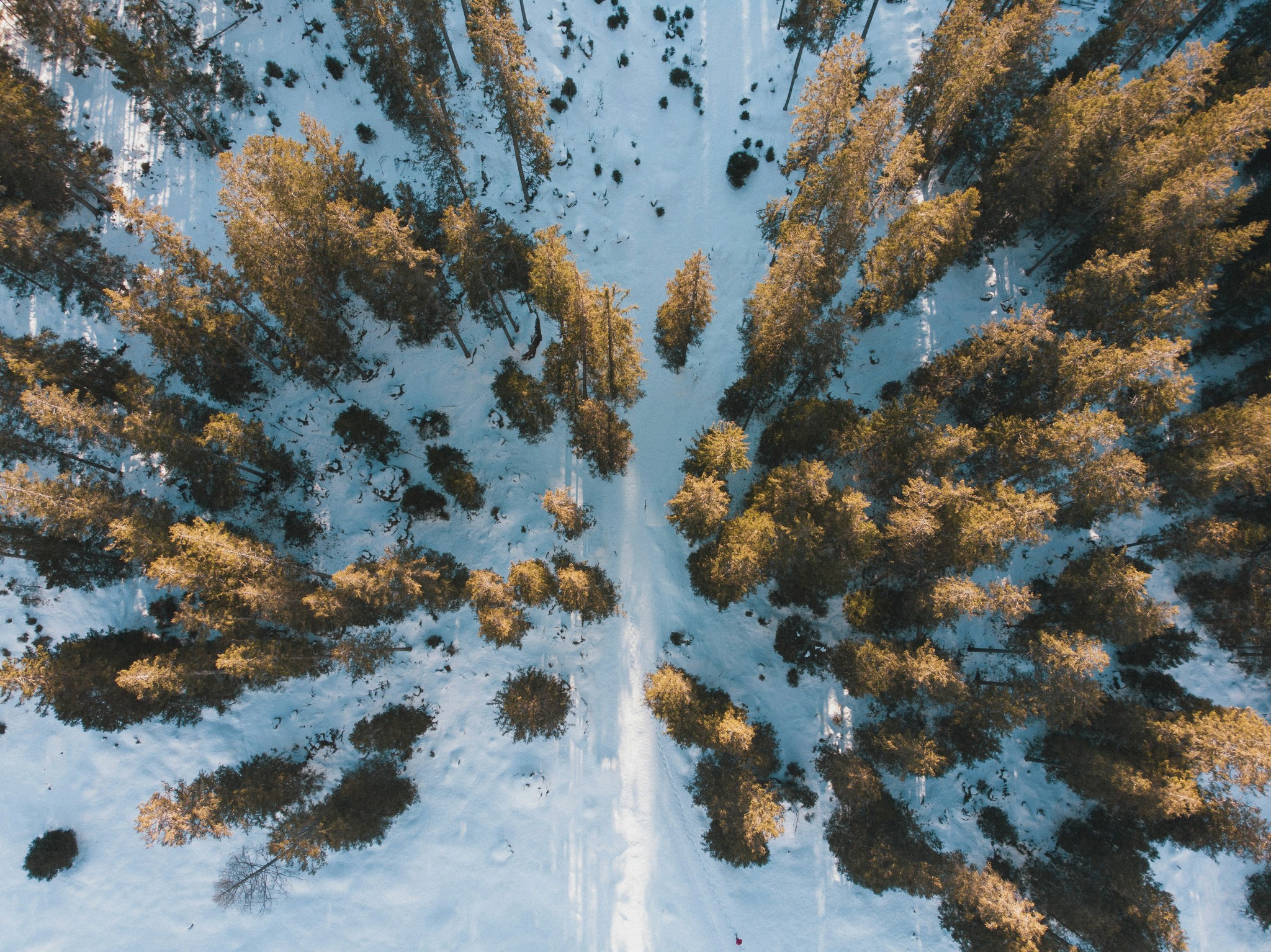 Dronefoto ovenfra av skgosområde i vinterlandskap