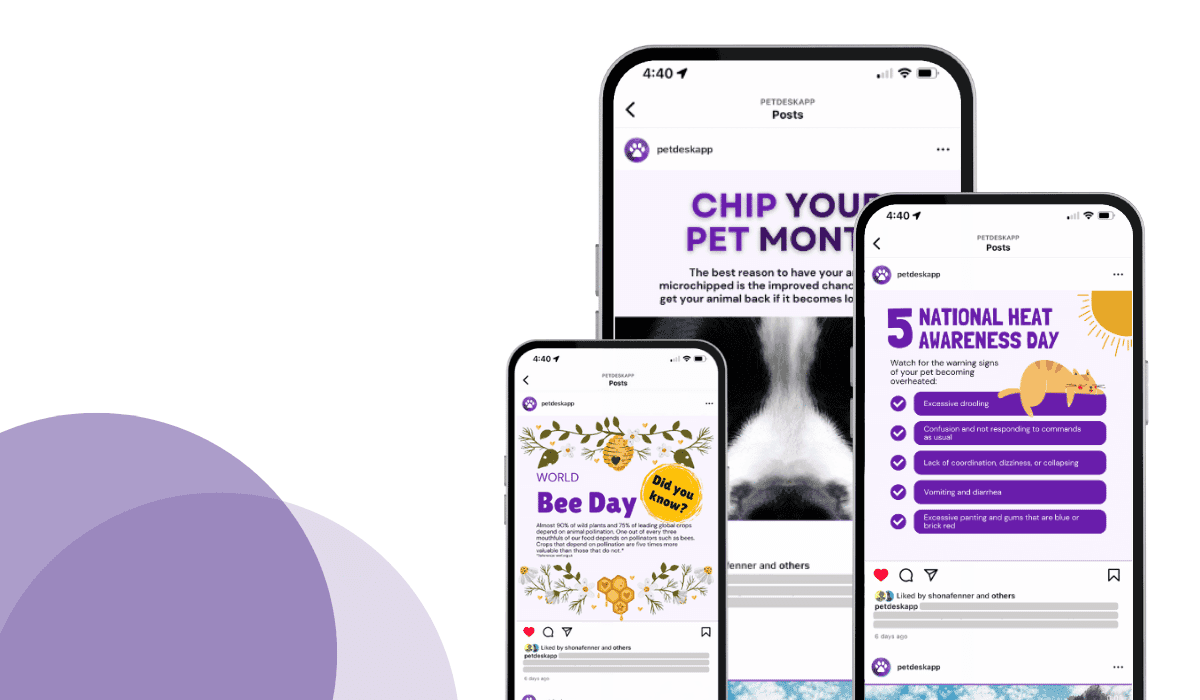 16 veterinary marketing ideas for the month of May