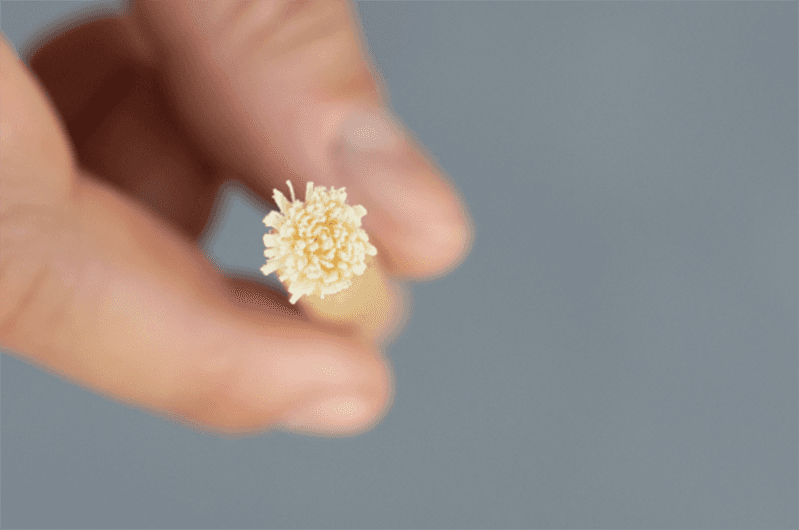 A hand holding an ecological toothbrush that looks like a stick with threads,