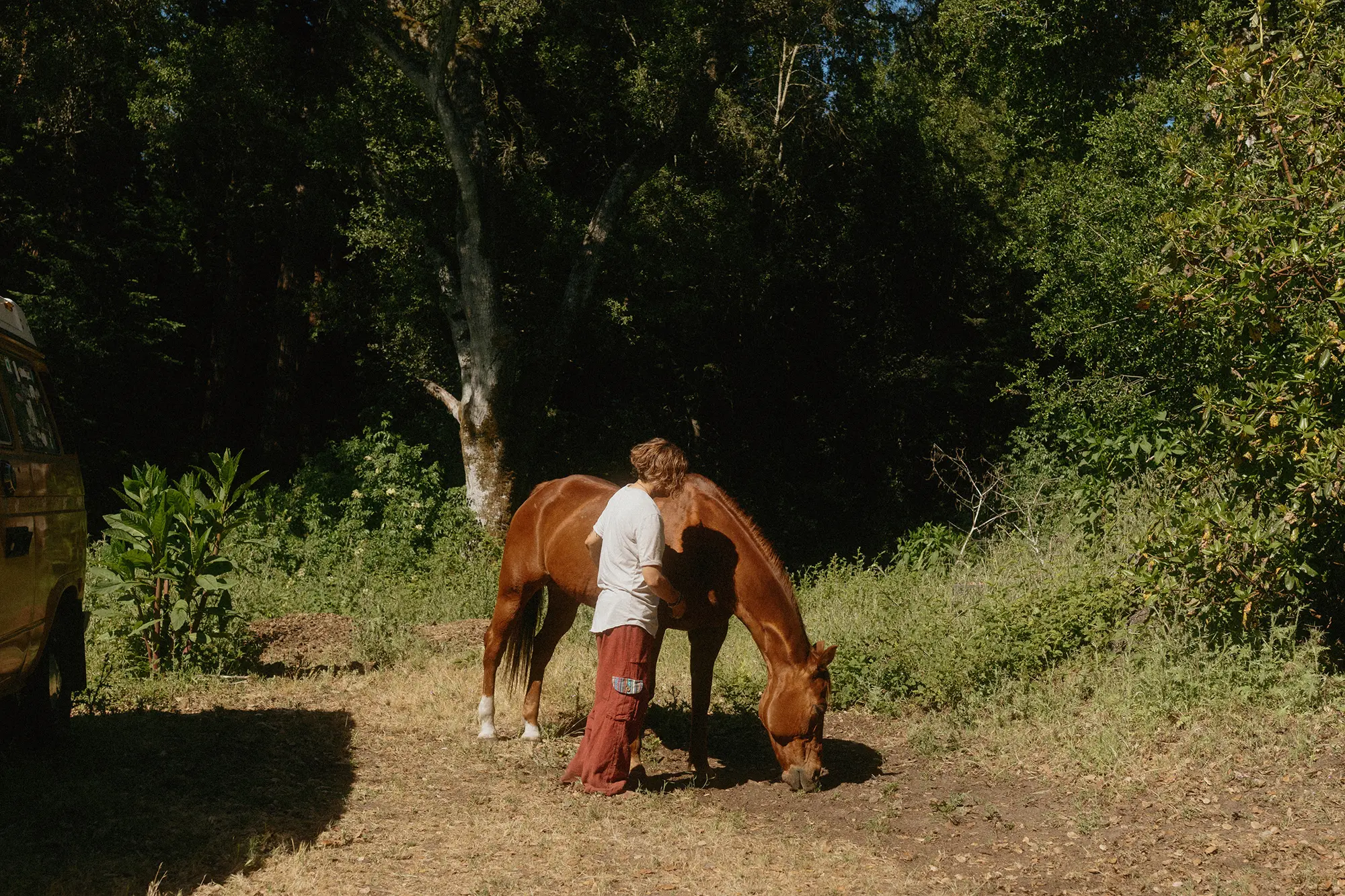 Sonia standing beside Corona grazing in a golden field