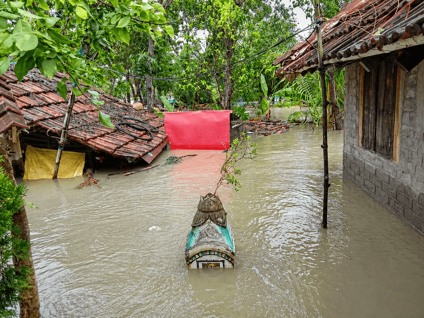 A image representing the balance between environment and dvelopment in India