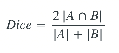 Dice Loss function