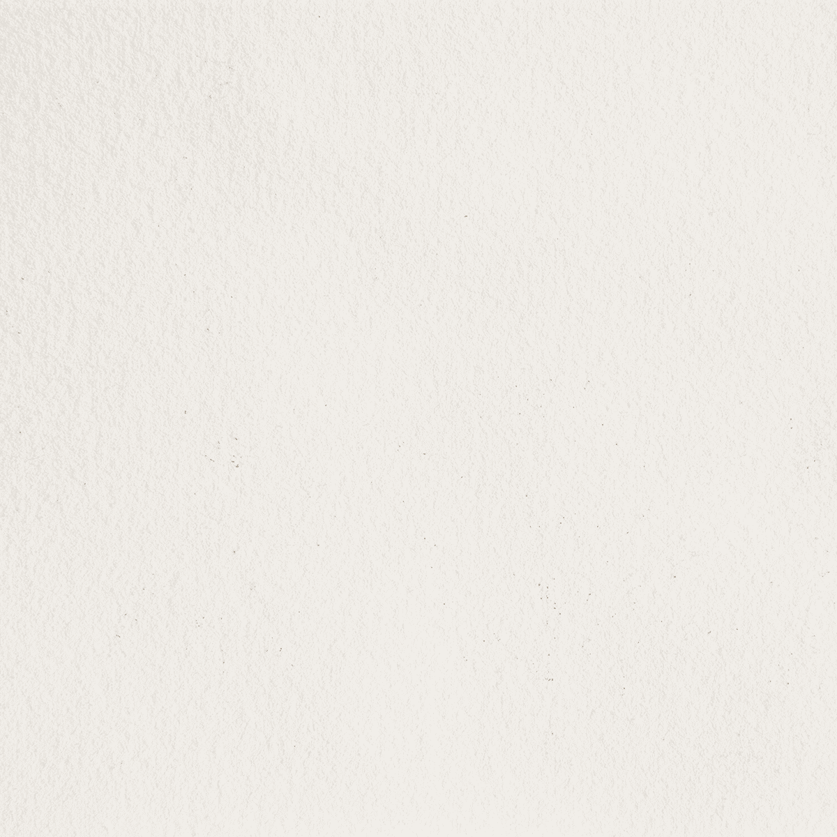 Carefully curated scenes, soon to be unveiled.