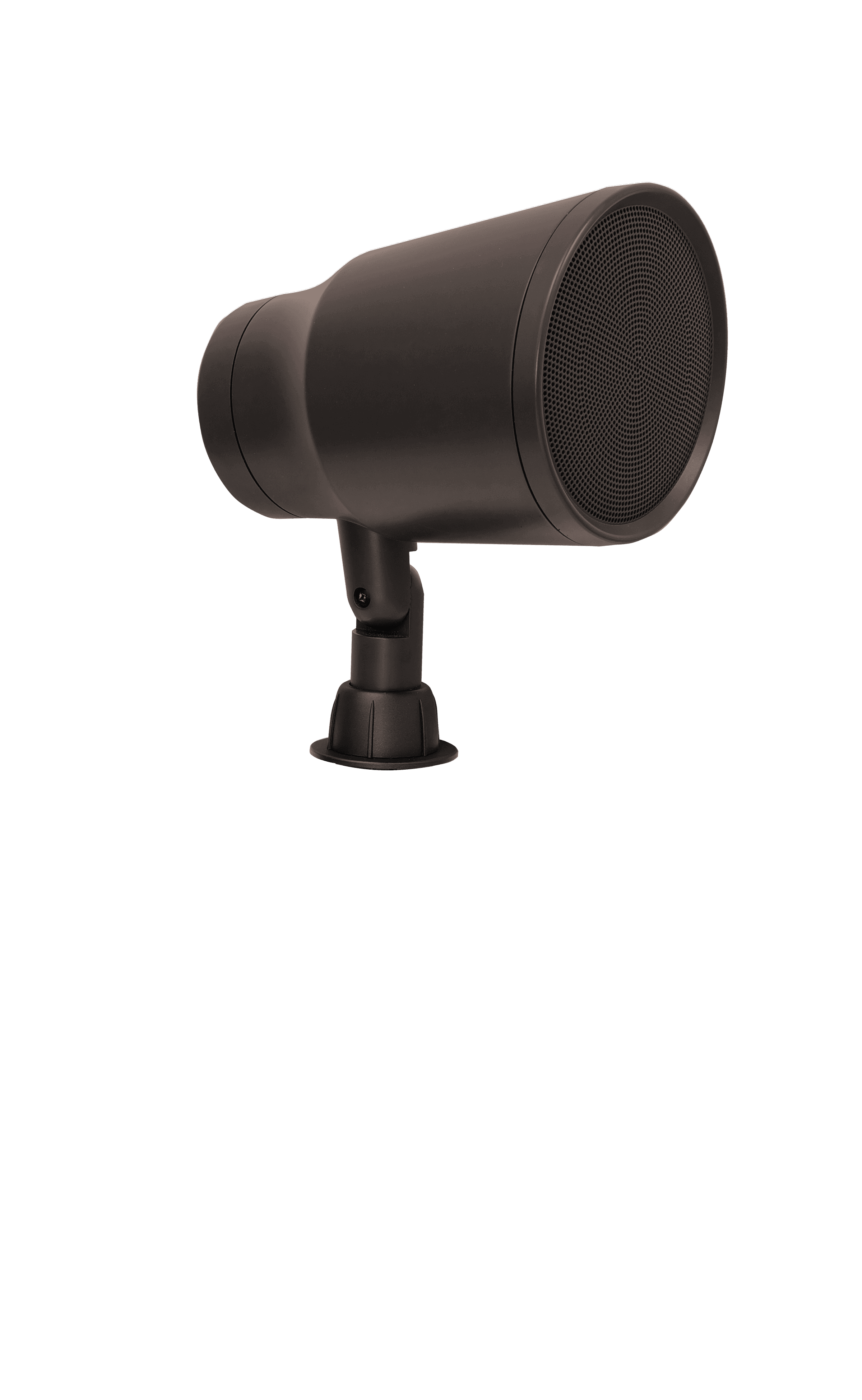 Outdoor speaker with adjustable mount