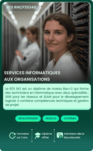 carte SERVICES INFORMATIQUES AUX ORGANISATIONS