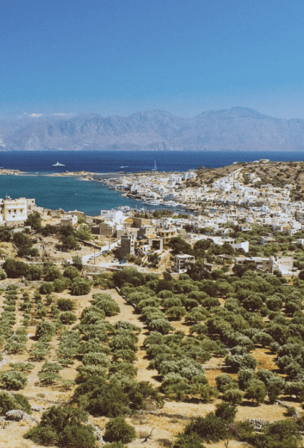 green lotion bottles