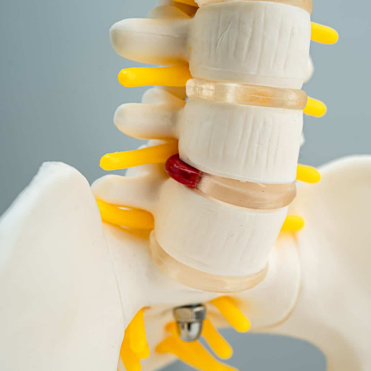 Chiropraktiker in der Nähe