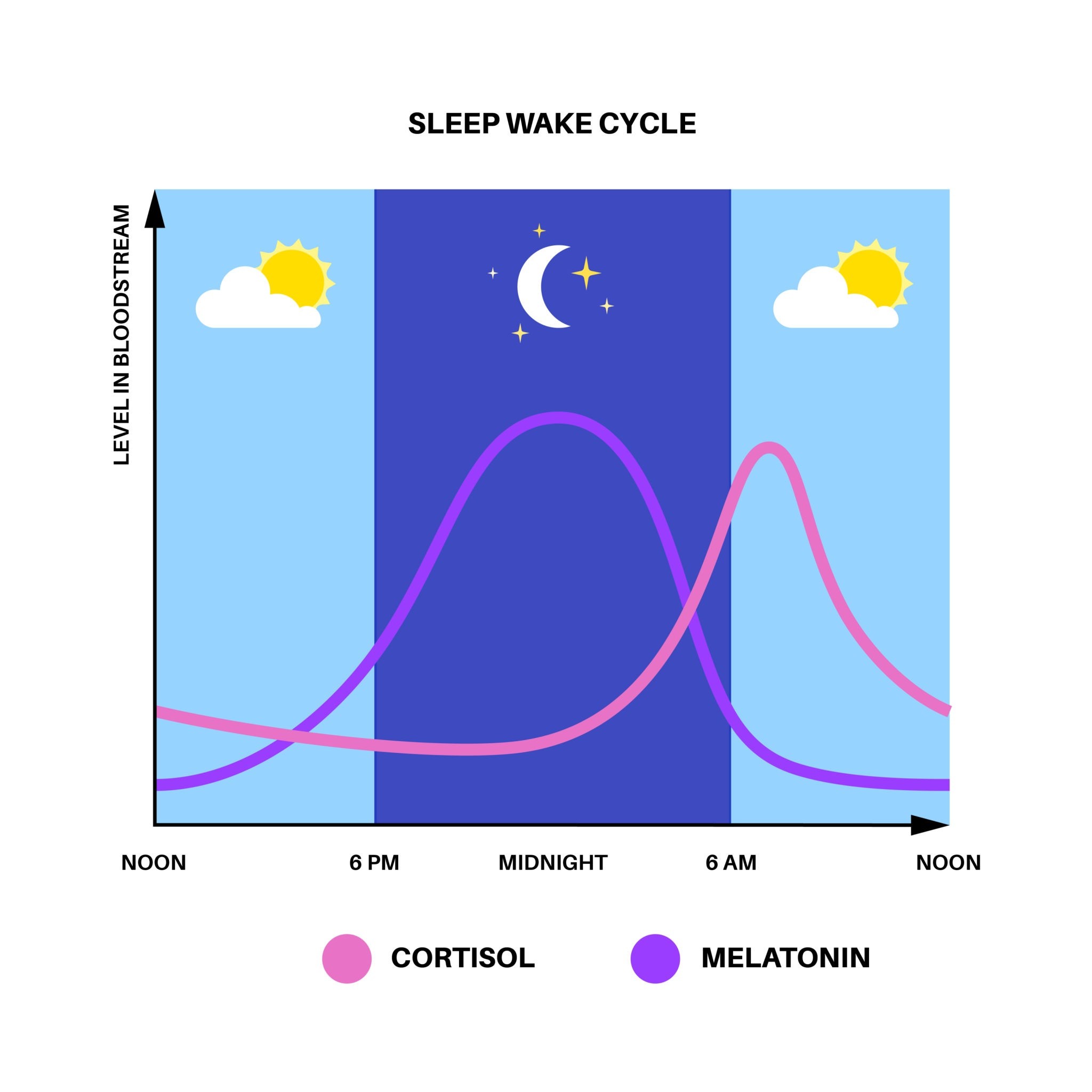 Image of the cortisol curve throughout the day