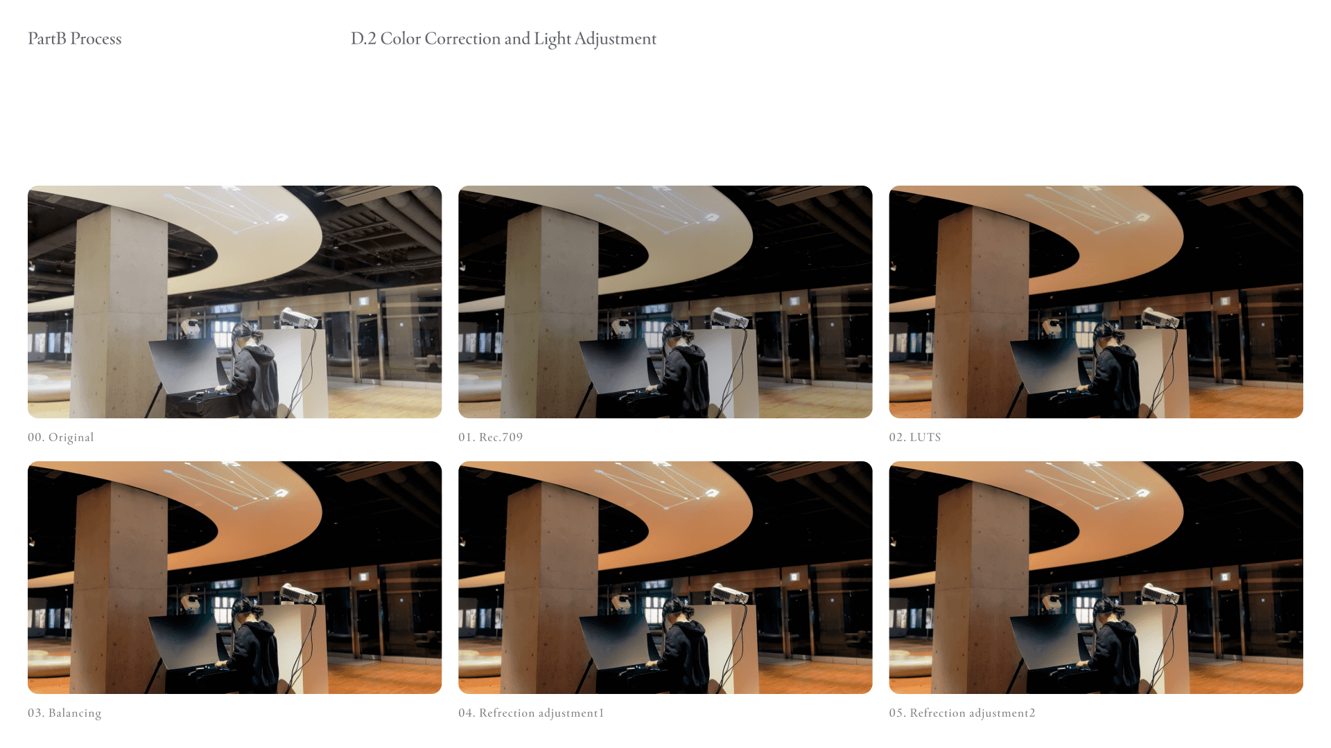 Color Correction and Light Adjustment