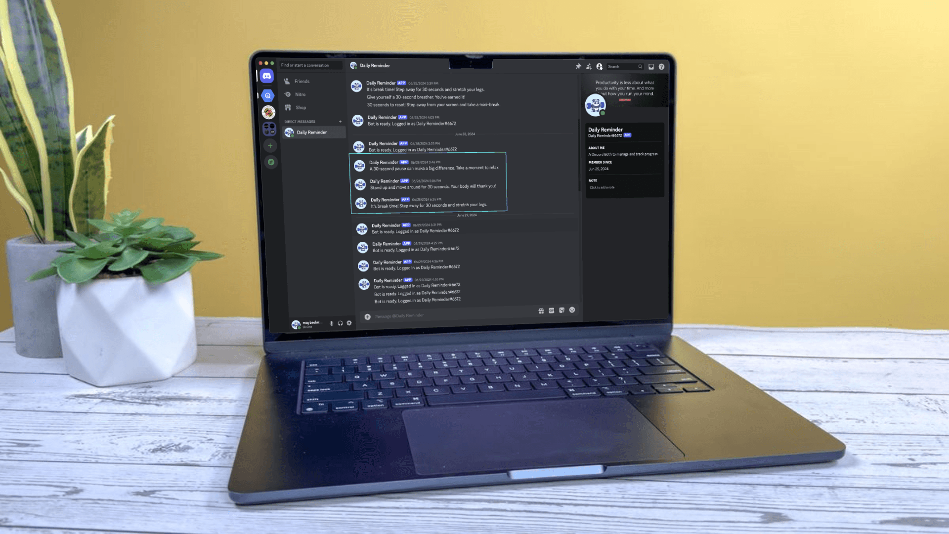 Discord Bot Laptop