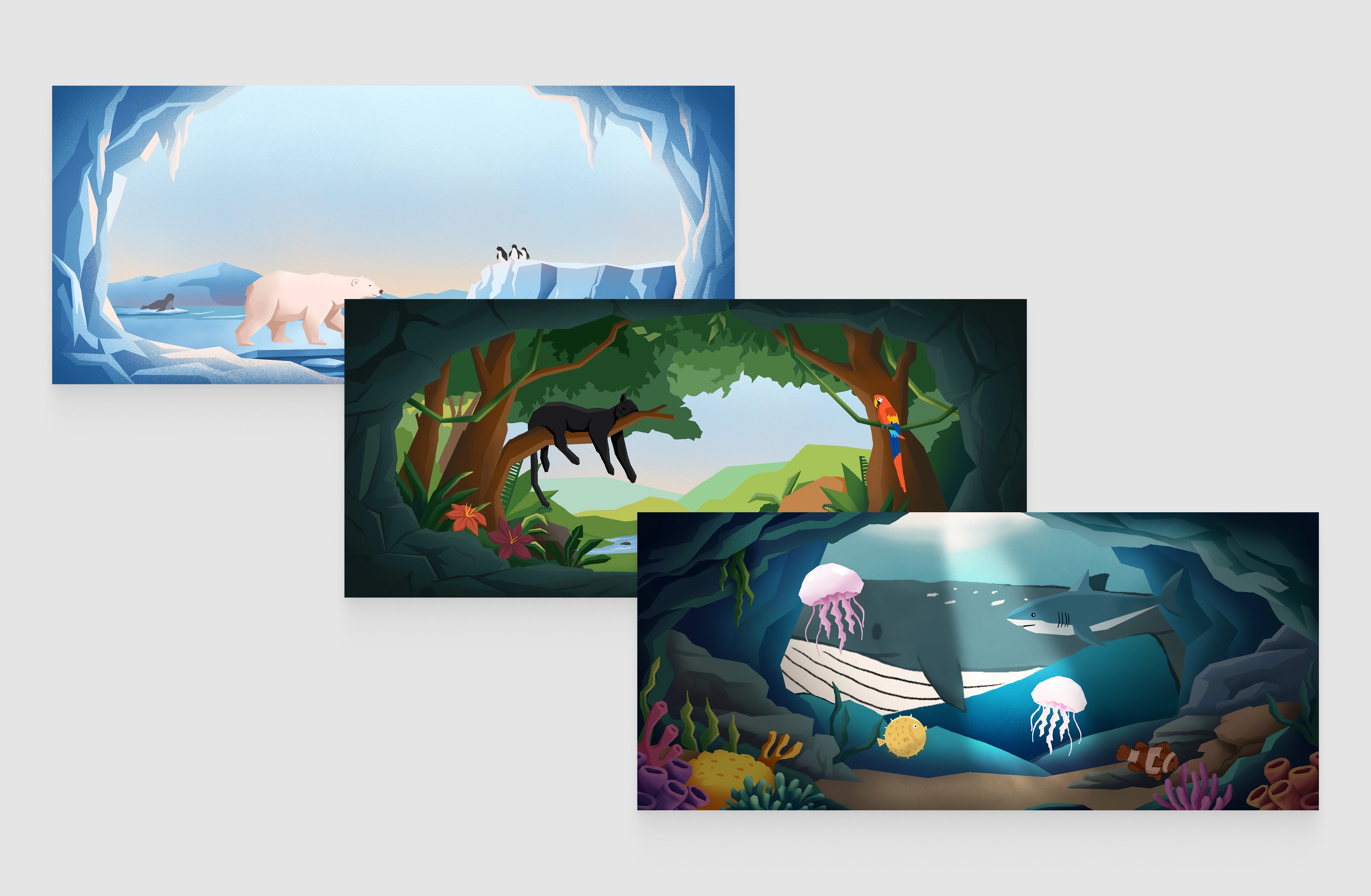 Animal habitat illustrations of arctic, forest, and ocean environments.