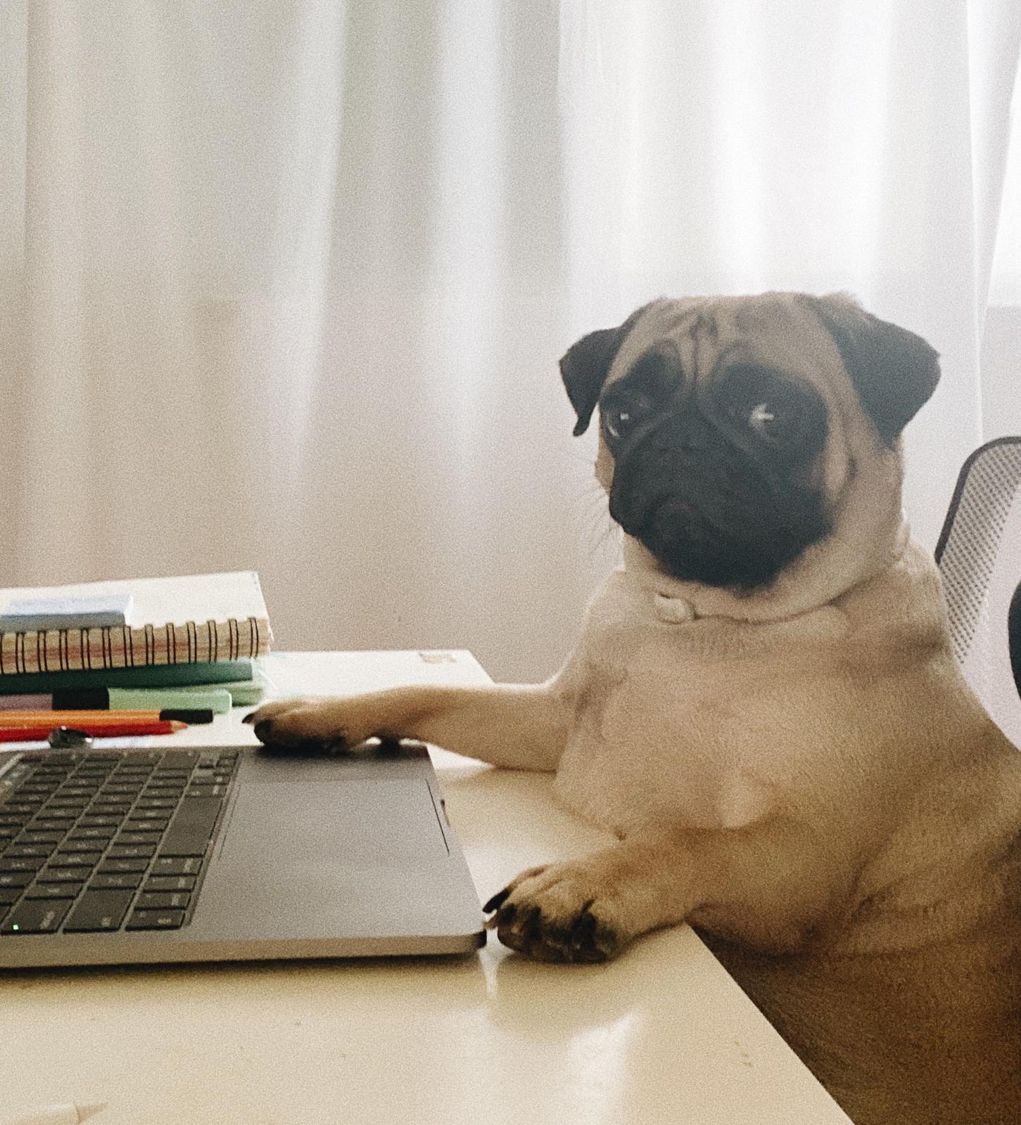 secretary.jpg