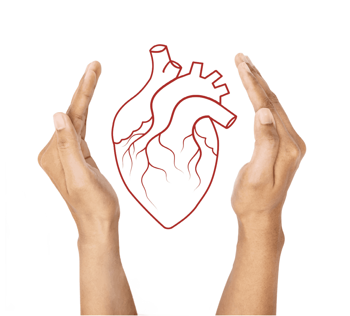 Hero Image (Background Removed) (Background Removed)