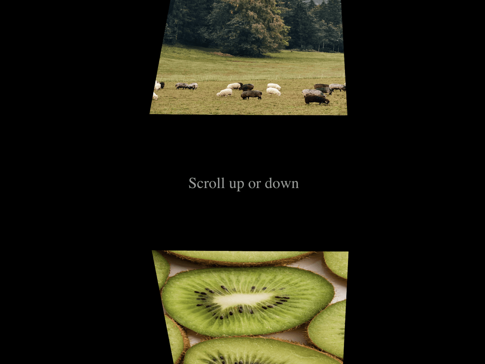 Framer中文网免费组件模板、Framer组件、Framer模板、Framer教程、Framer汉化