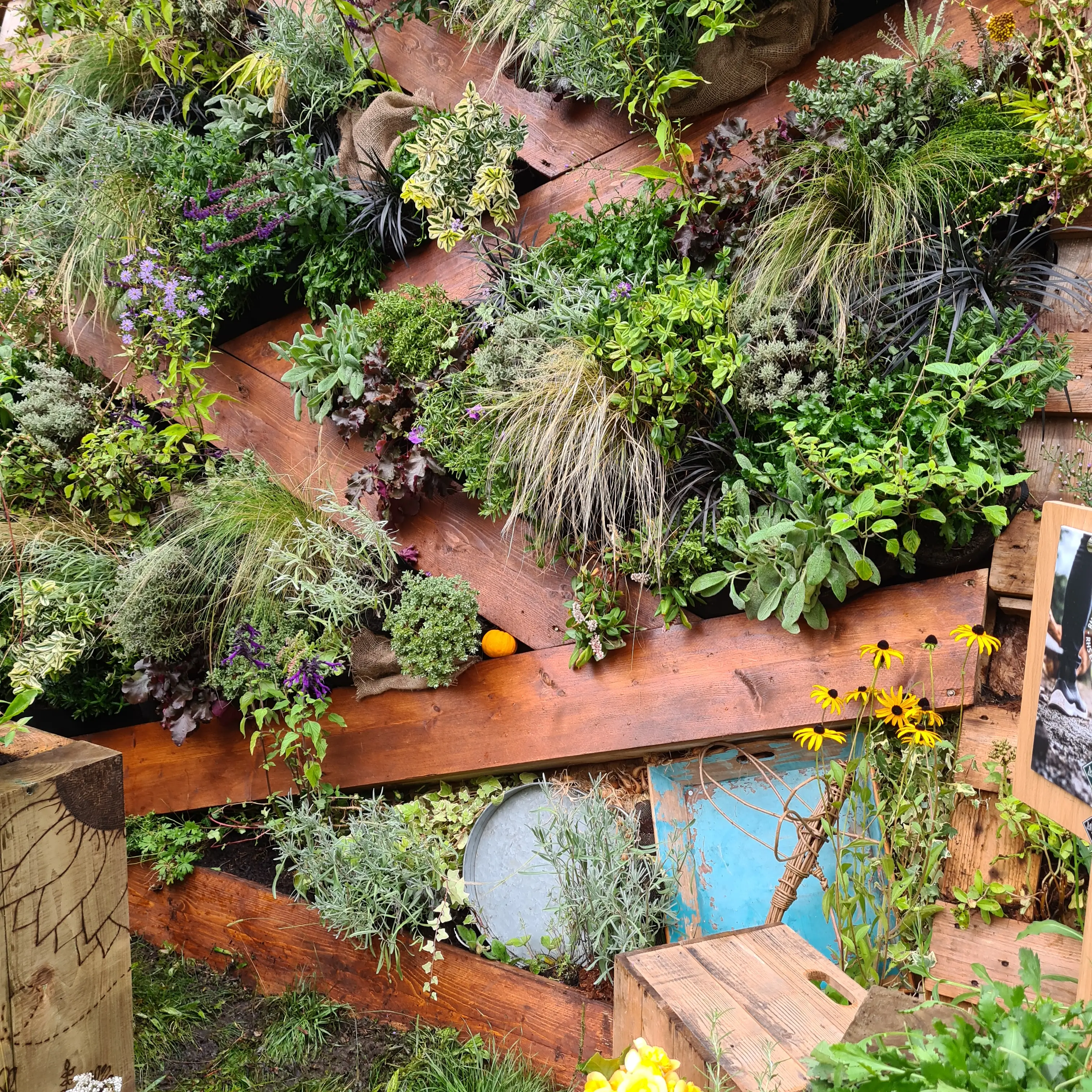 A lush vertical garden with various plants, showcasing vibrant greenery and wooden pathways for walking.