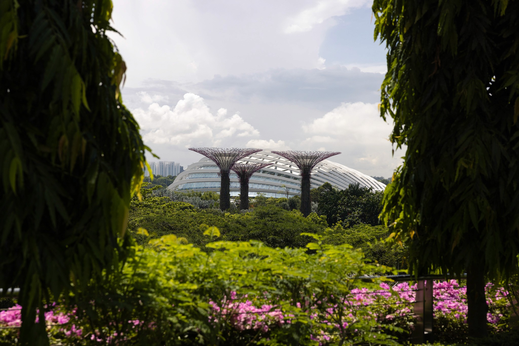 Make Innovation Work Netwerkfotografie