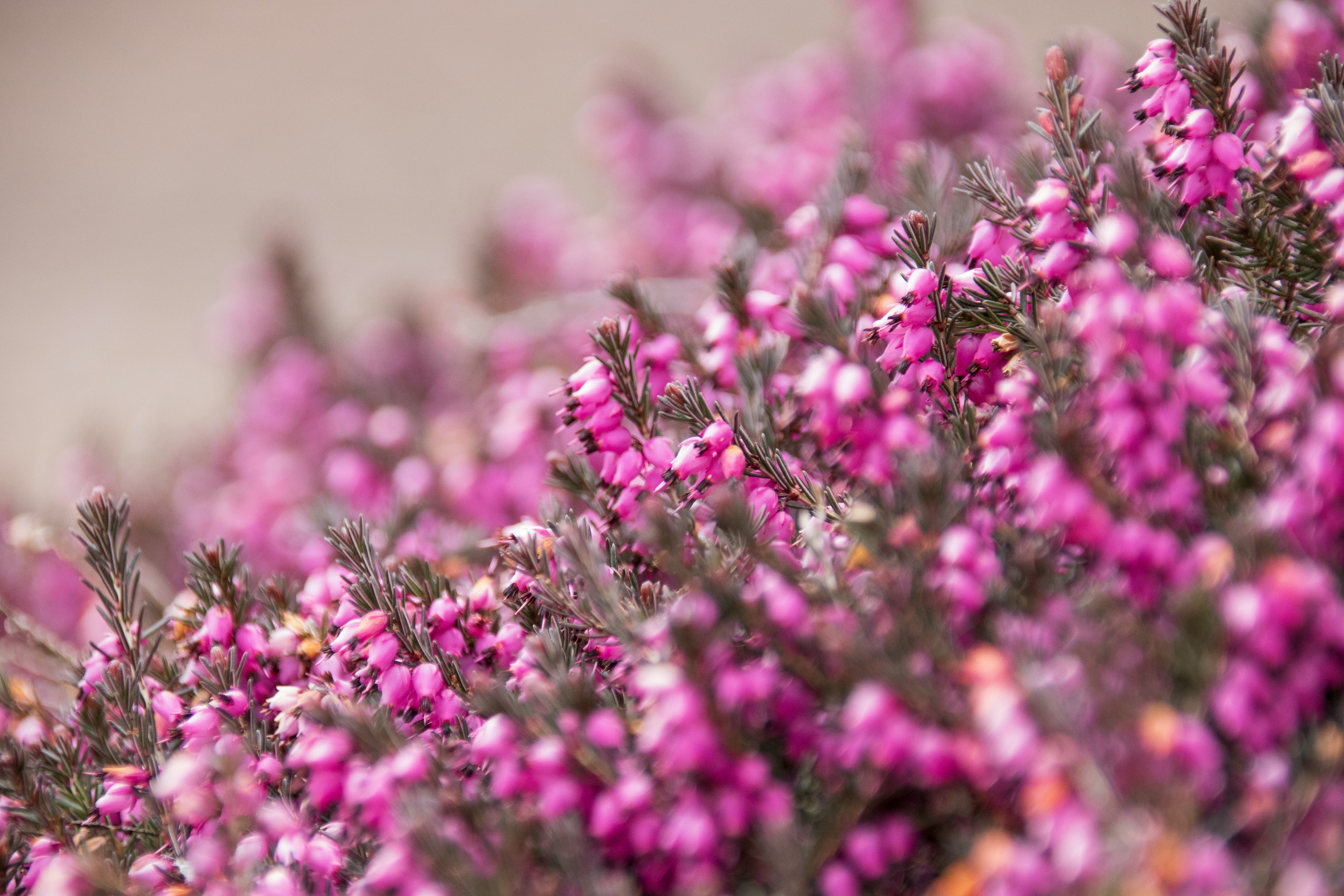 Het schokkend grote voordeel van pensioenbeleggen