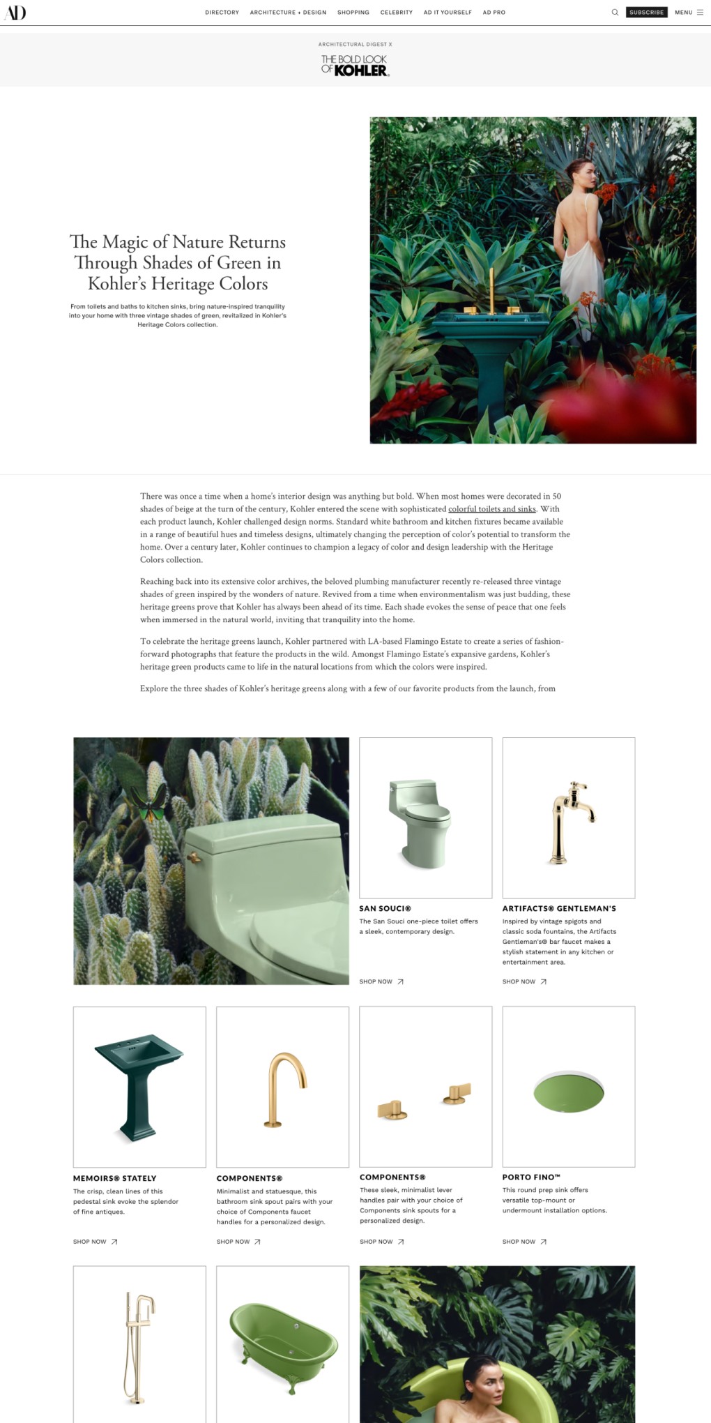 Screenshot of the article