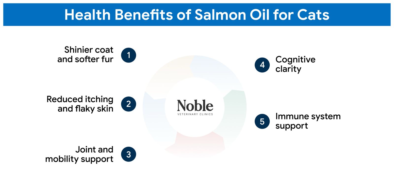 An infographic showing the benefits of salmon oil for cats.