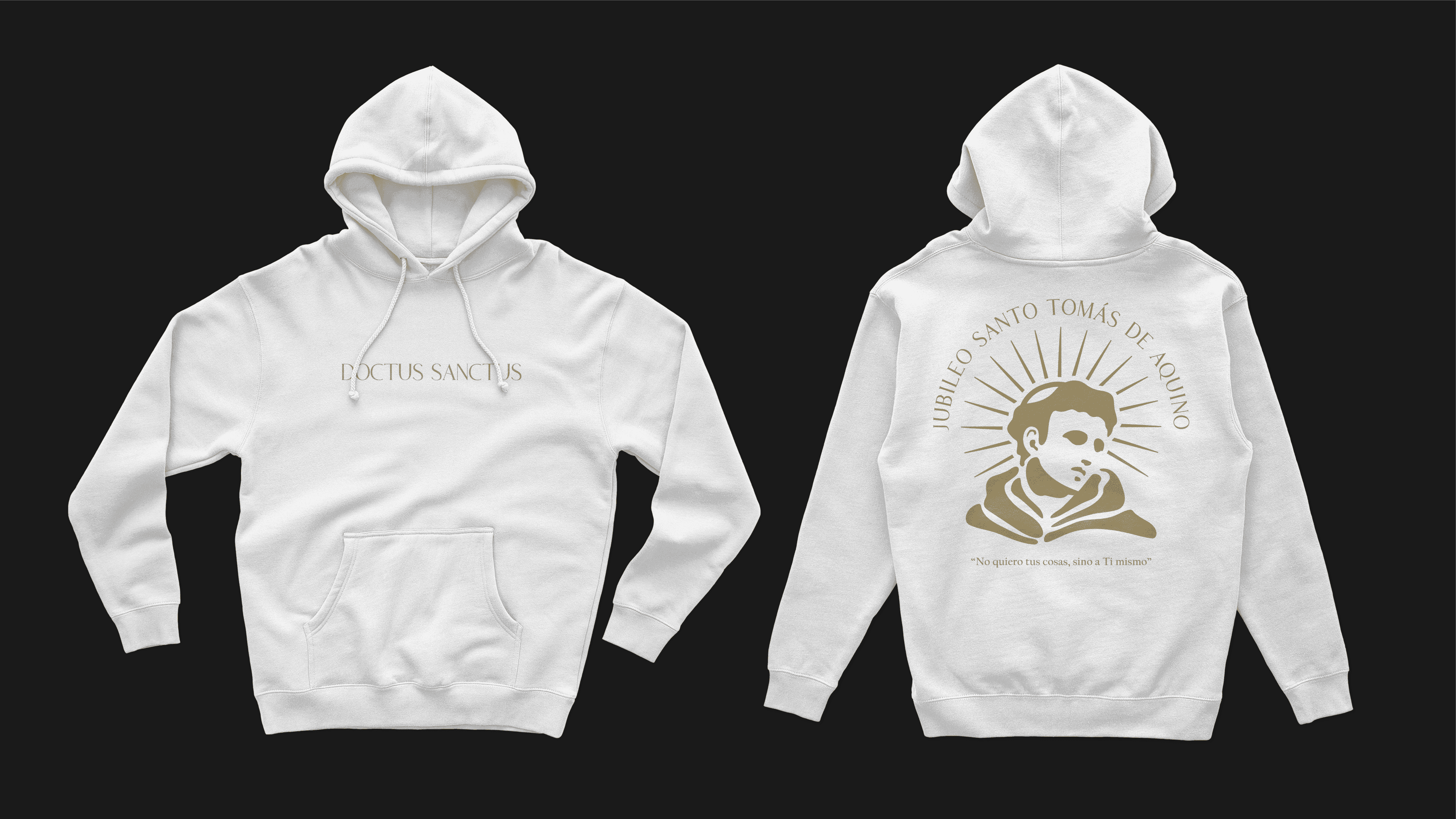 Large Project Gallery Image #1